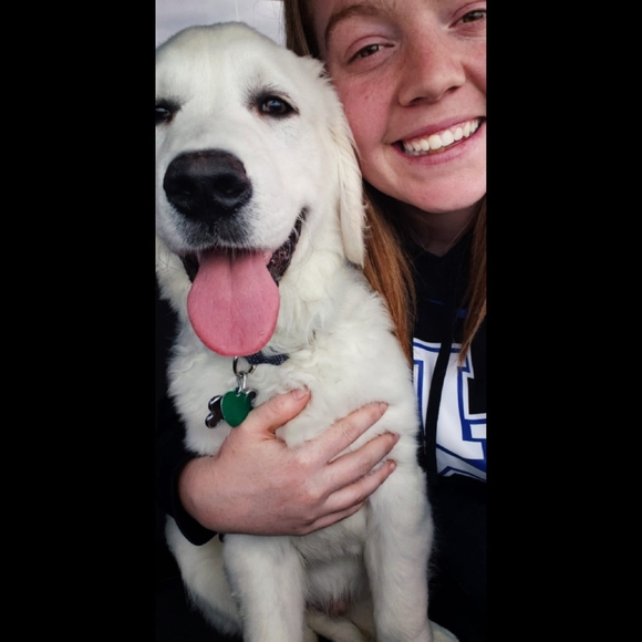 Meet your Posher, Kristyn - Picture 1 of 1